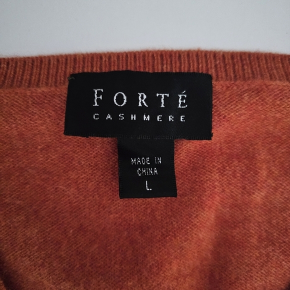 Forte 100% Cashmere Sweater Mens Size L Burnt Orange V-Neck Fall Soft Cozy Fall - Picture 3 of 9